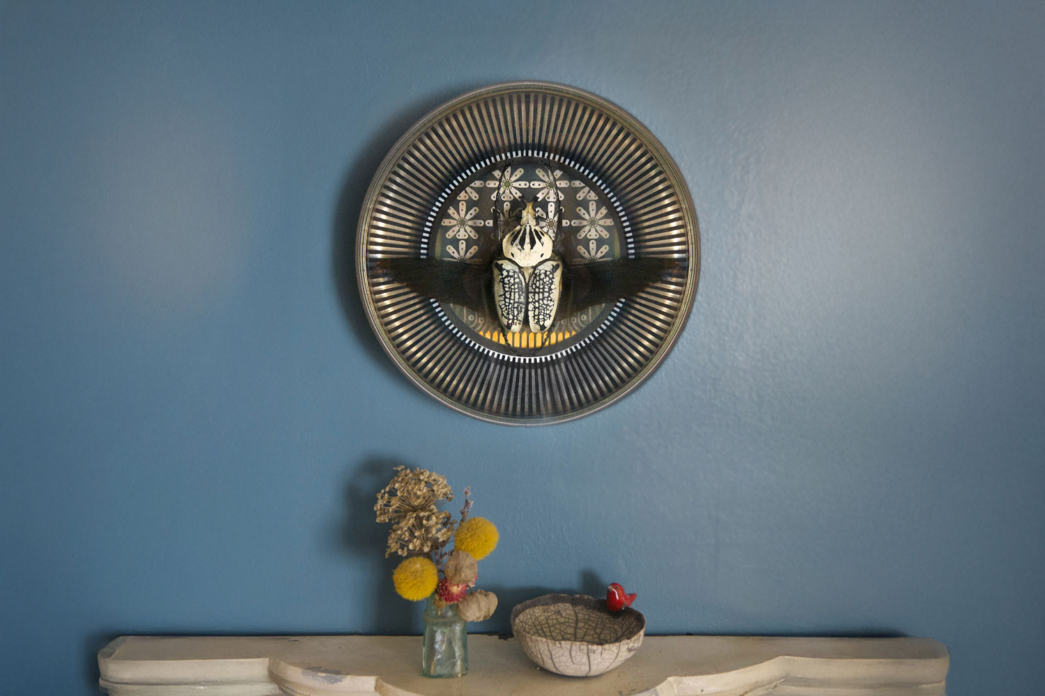 Suzanne Schmid Goliath Beetle wall sculpture