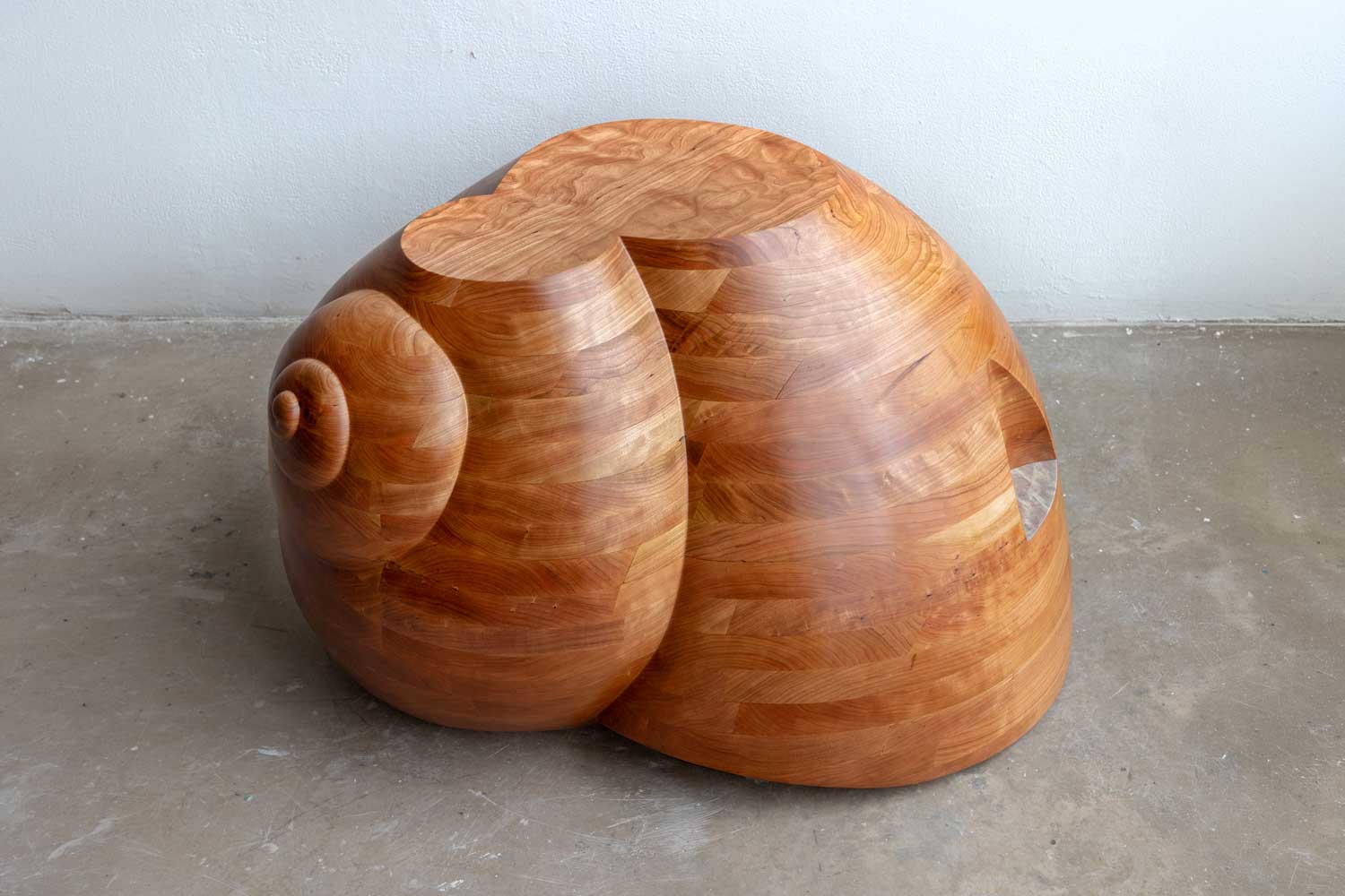 Miles Lawton Gracey Moon shell surface