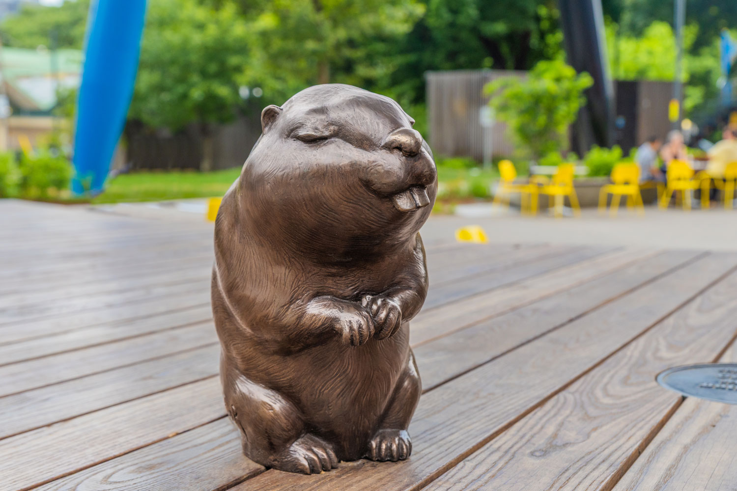 David Constantino Salazar Beaver