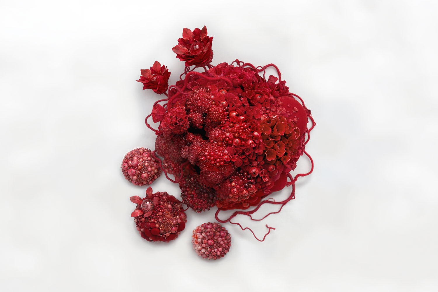 Amy Gross Flora Rubra