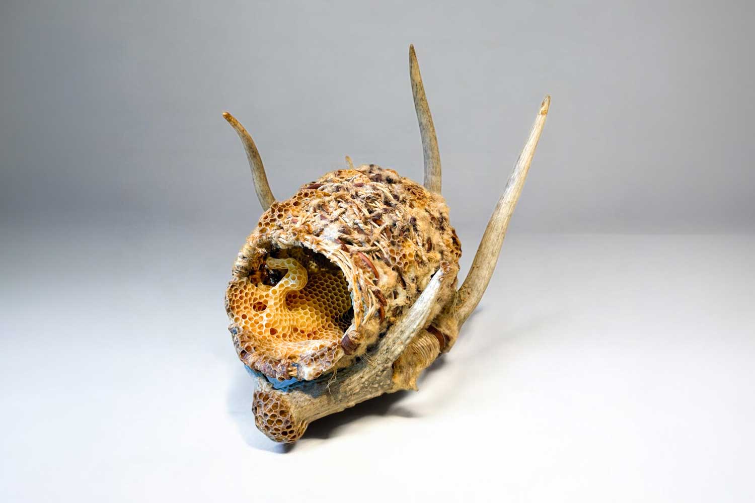 Ava Roth Organic mixed media basket with antler and honeycomb