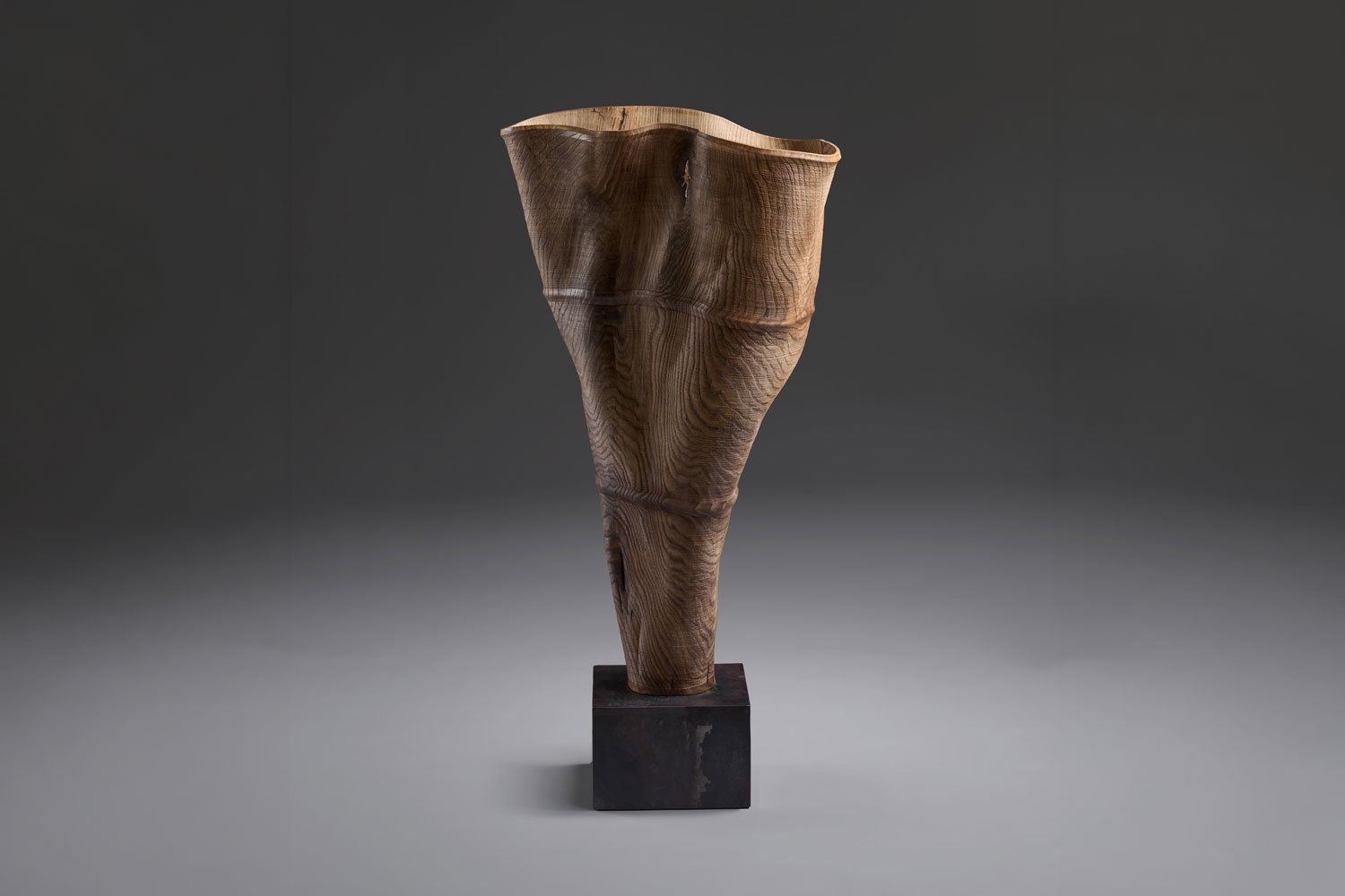 Ernst Gamperl 54/2025 Y 240 Dancer
