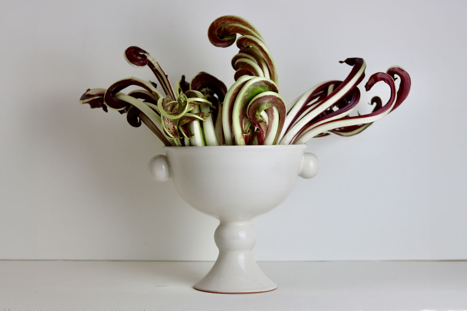 Poiret Masse Pitti bowl