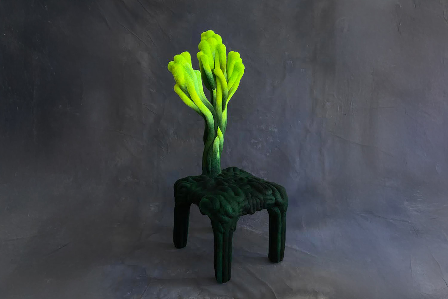 Liam Lee Chair 17