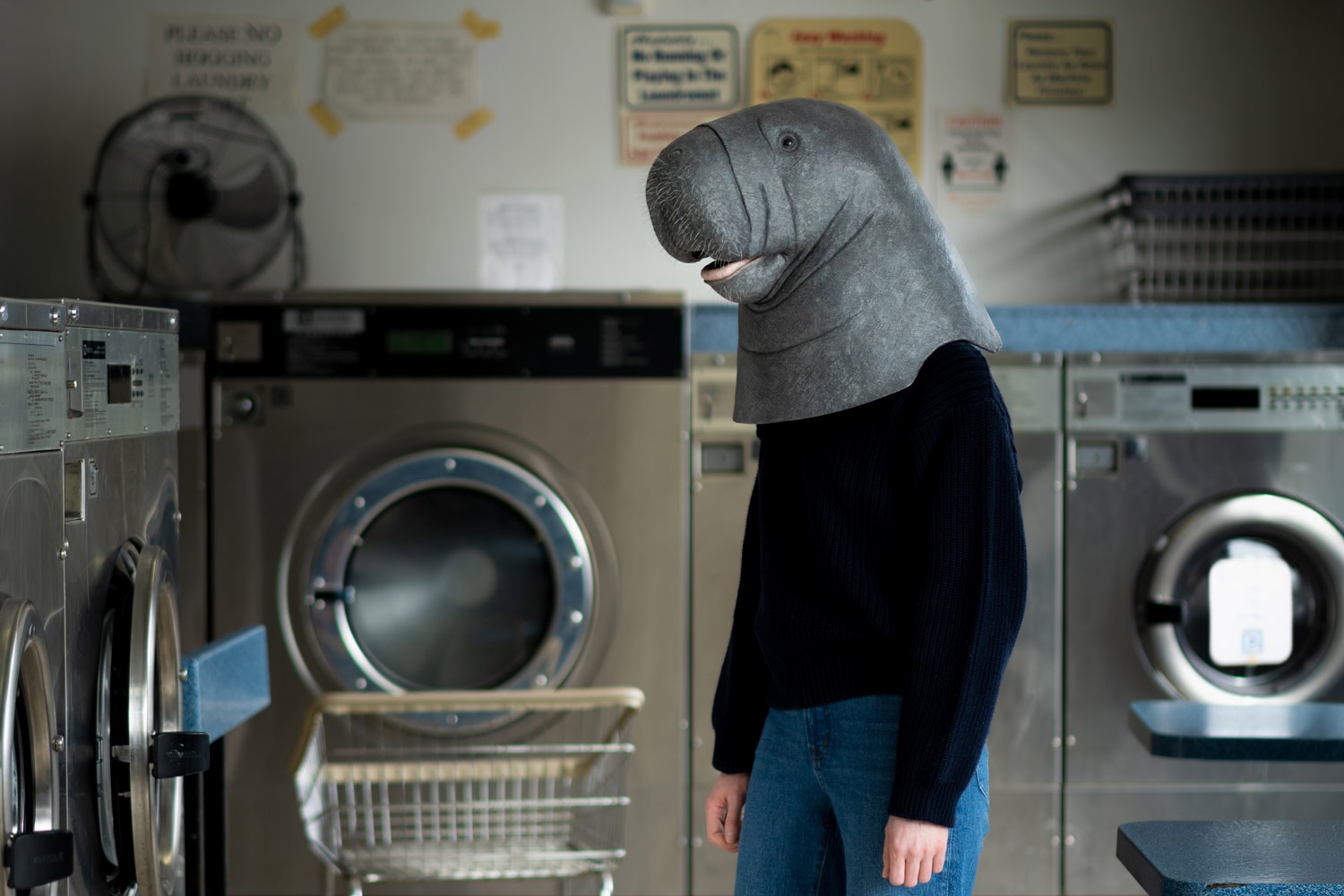 Liz Sexton West Indian manatee mask