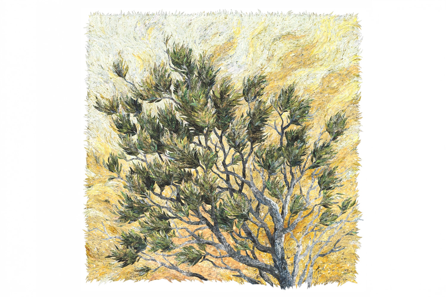Elsa Gouws Smit The Protea Bush