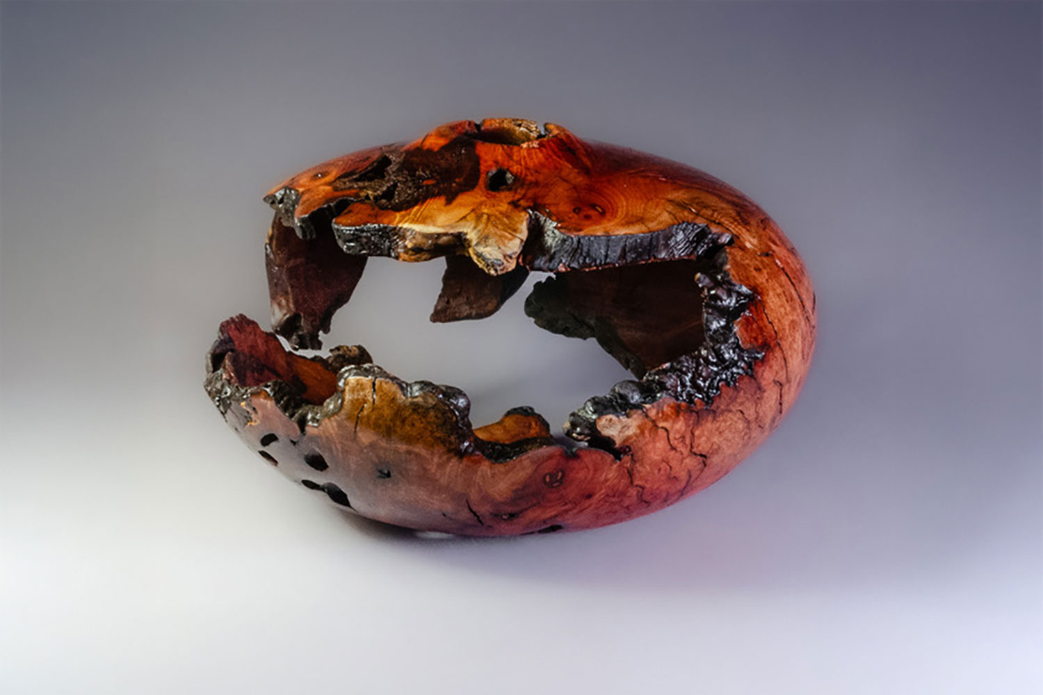 Peter Jacobson Paleomorphic No. 2