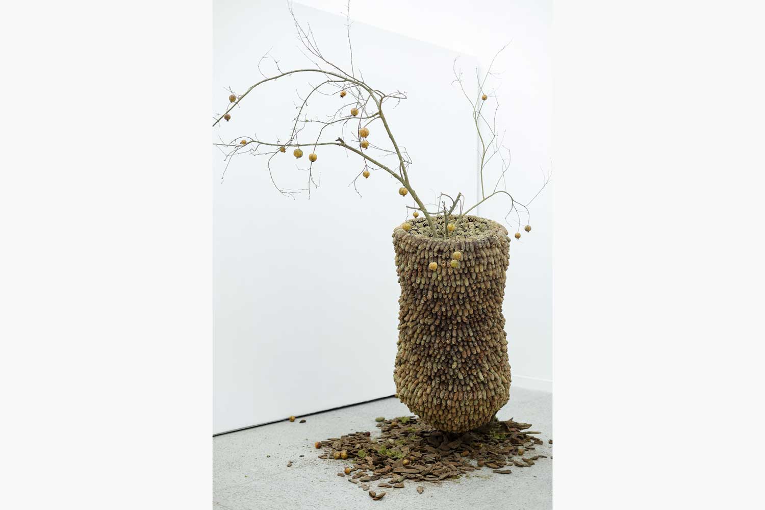 Qianchen JING 景千晨 Repetition in Growth