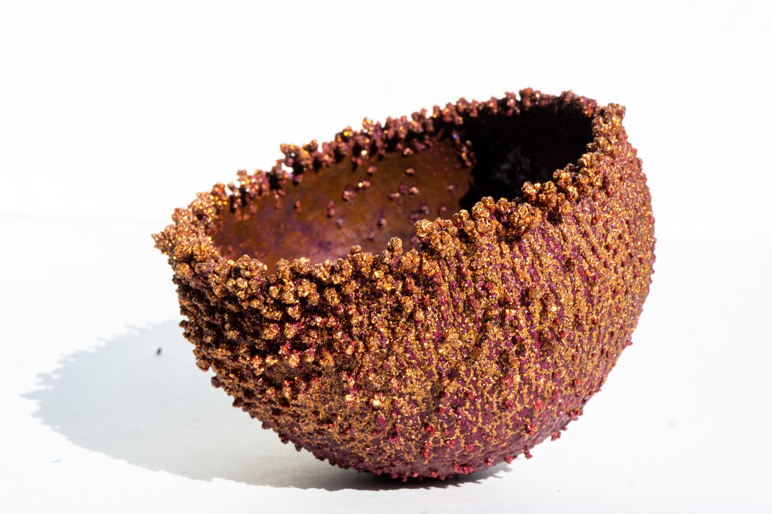 Willlow Bloomfield Morphogenesis II