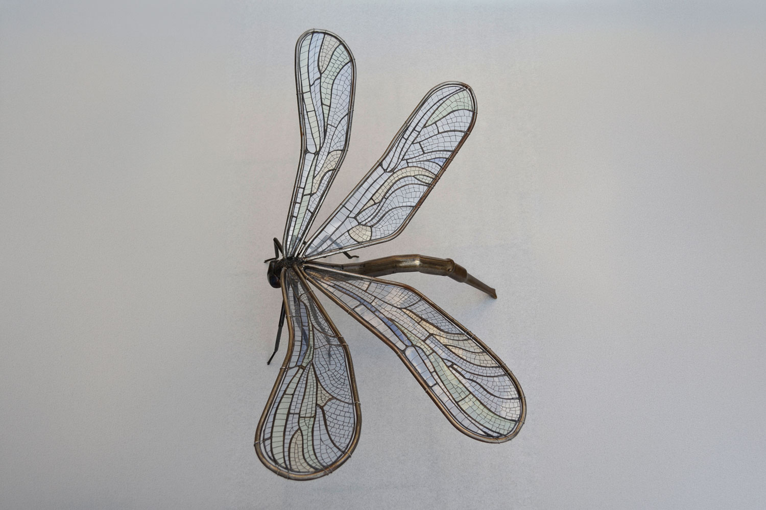 Marco Franzato Dragonfly