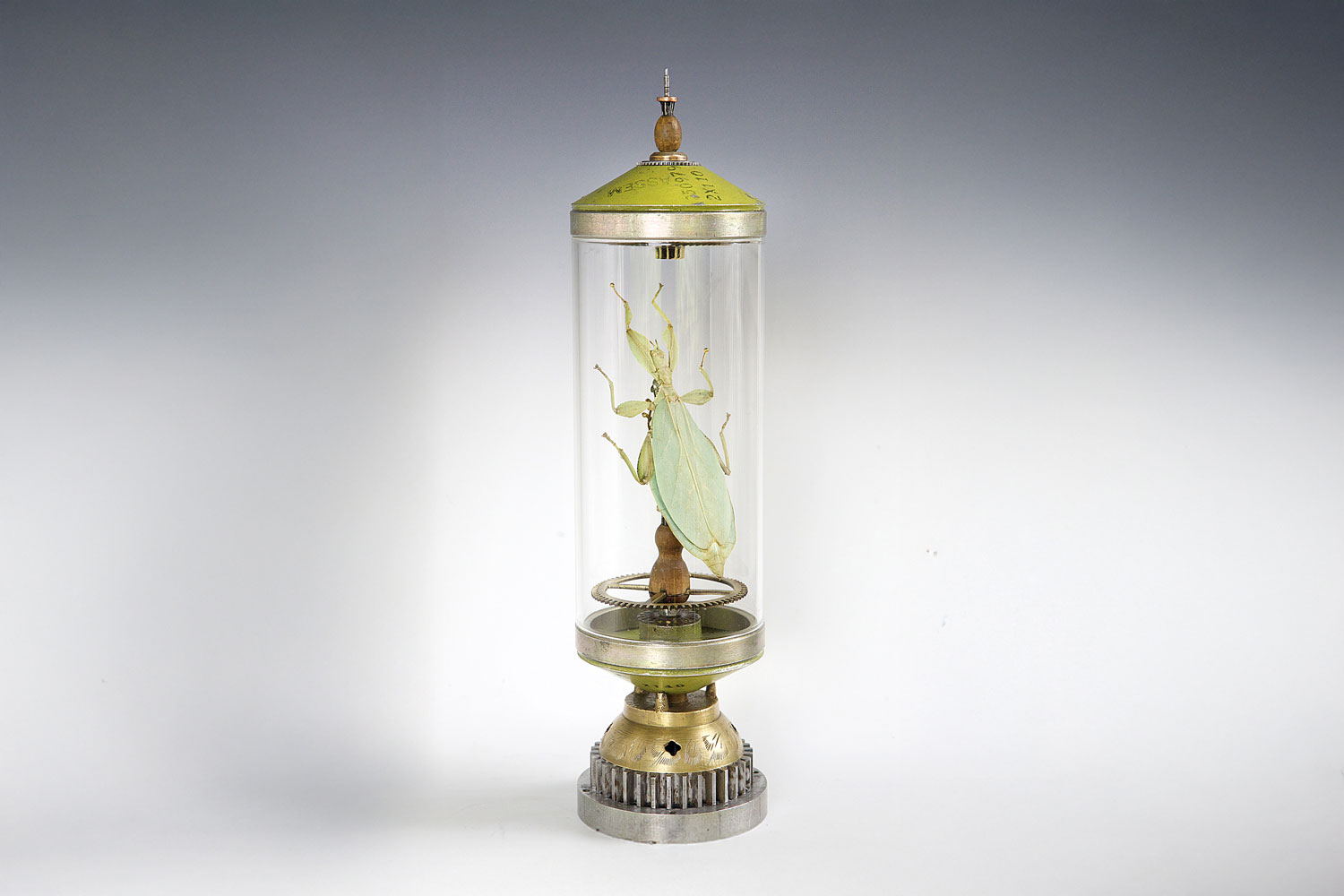 Suzanne Schmid Walking Leaf Insect freestanding sculpture