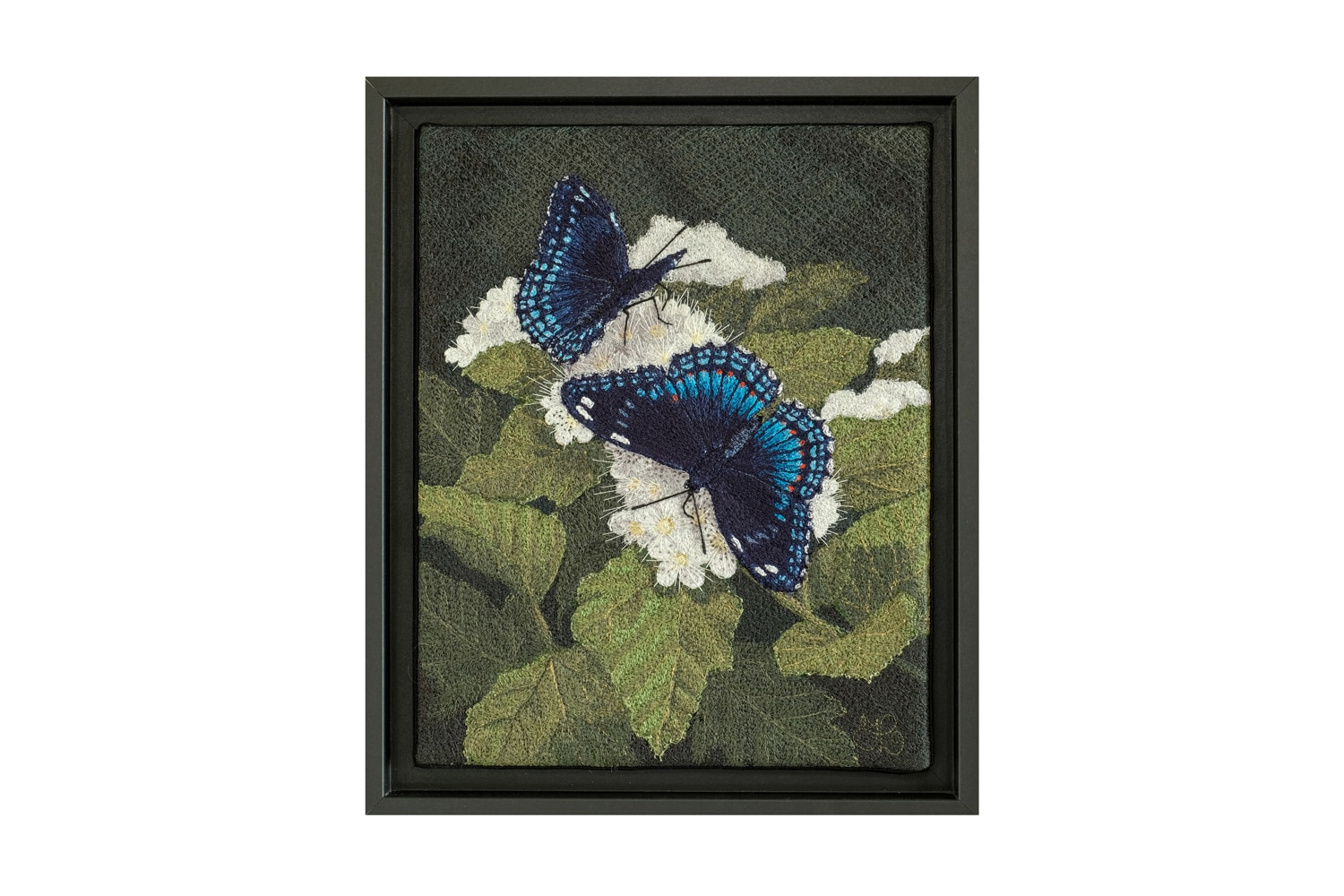 Tracey Lawko Red-spotted purples