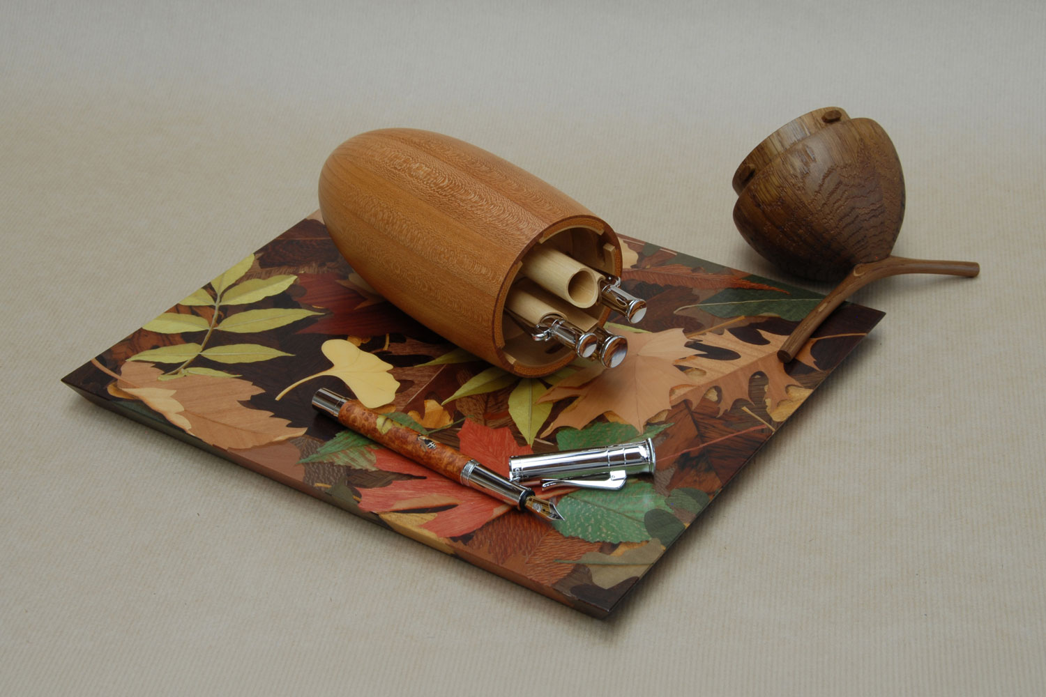 Dominique & Éric Sanson Pens, case and tray