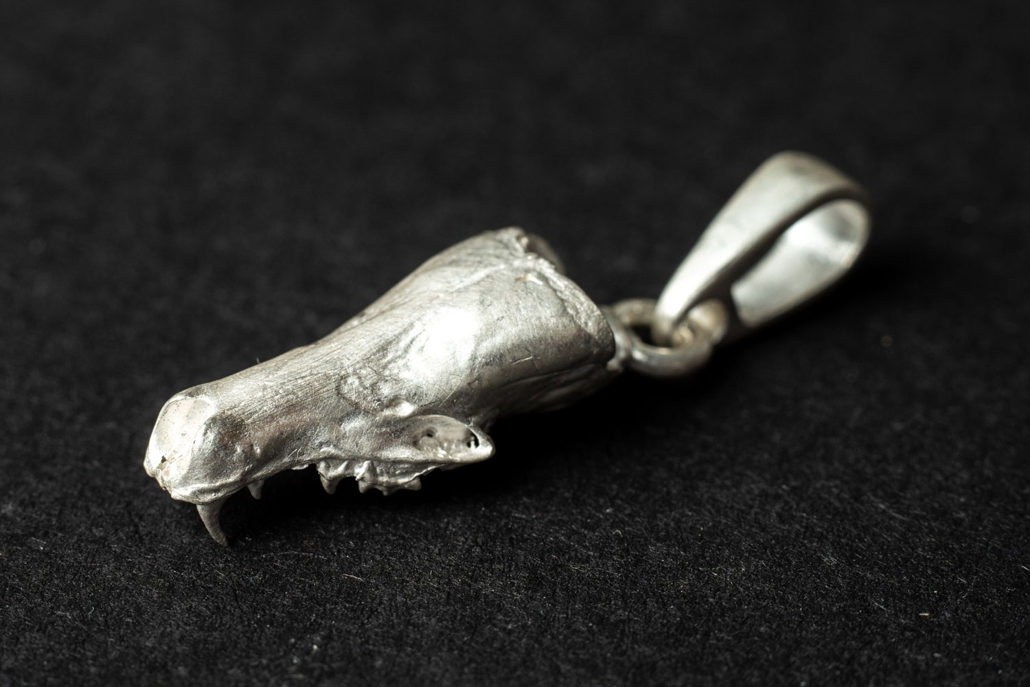 Toms Elle Smallest of predators