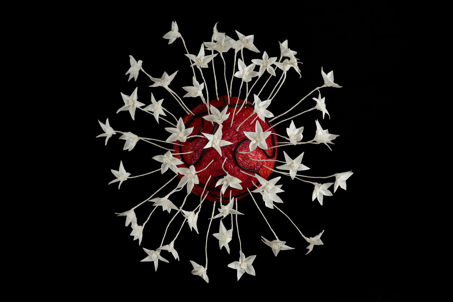 Giuseppe Romeo Spore