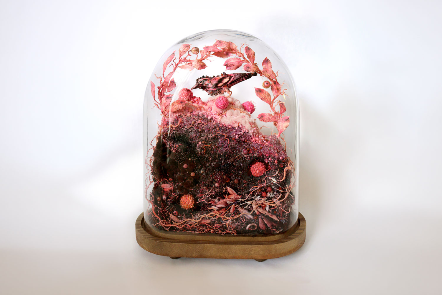 Amy Gross Cardellina Rose