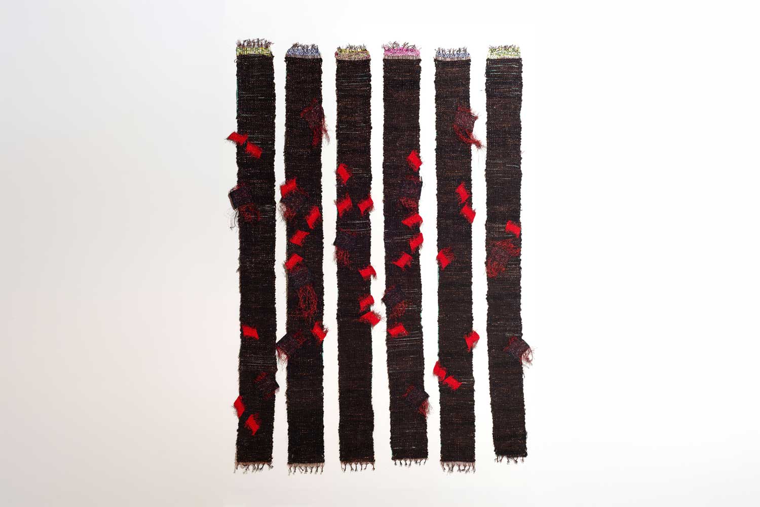 Consuelo Jimenez Underwood Broken: 13 Undocumented Birds
