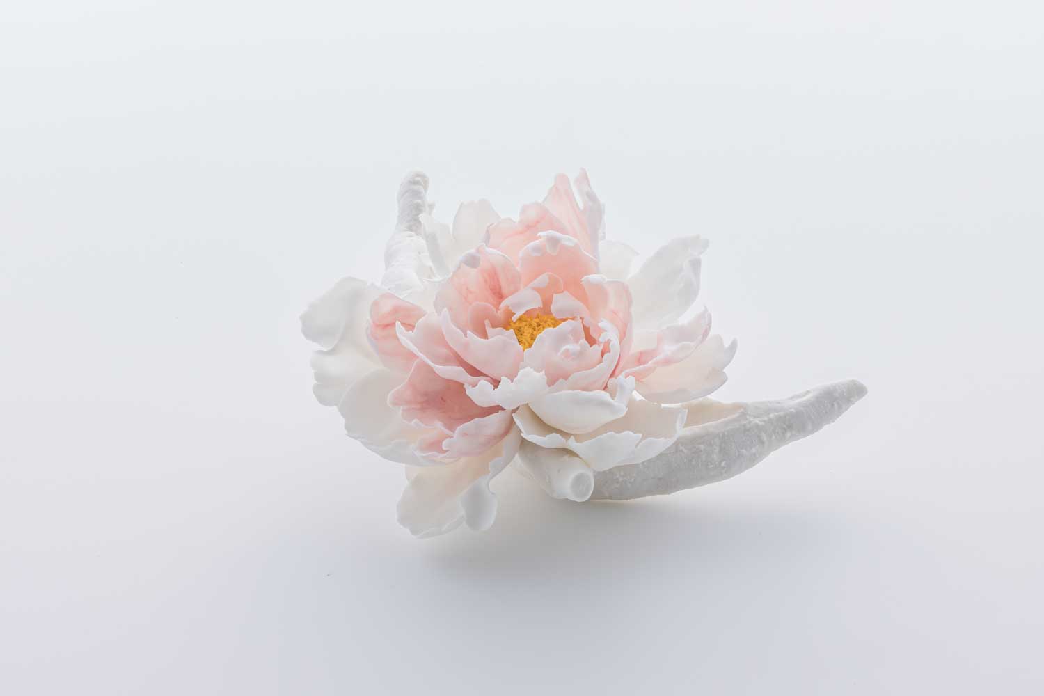 Whisper of Peony