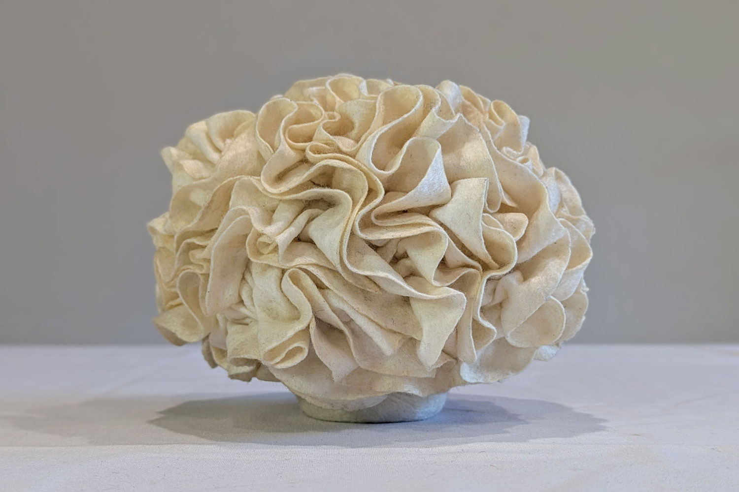 Elise Campbell Cauliflower crispa