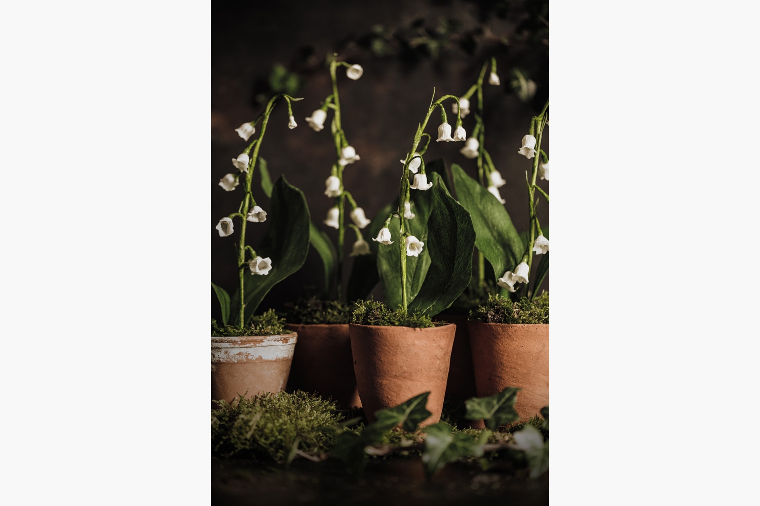 Charlotte Hepworth Lily of the Valley