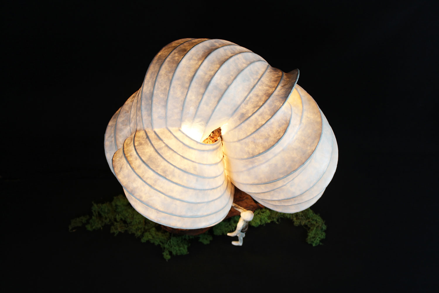 Olivia Topa HÊTRE DE LUMIÈRE
