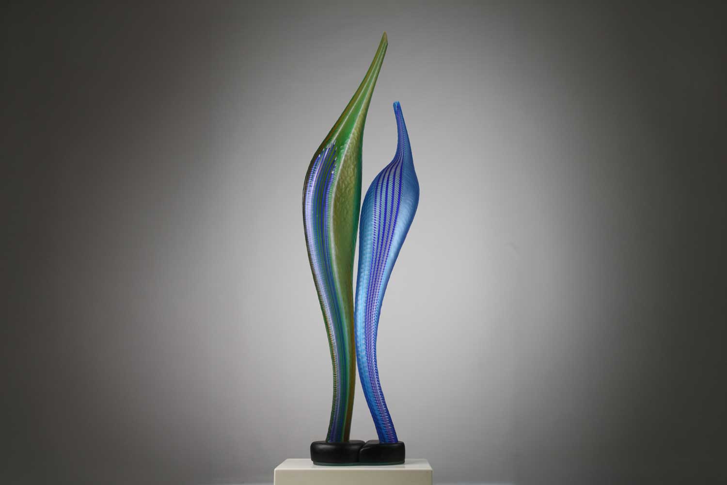 Pietro & Riccardo Ferro Seaweeds