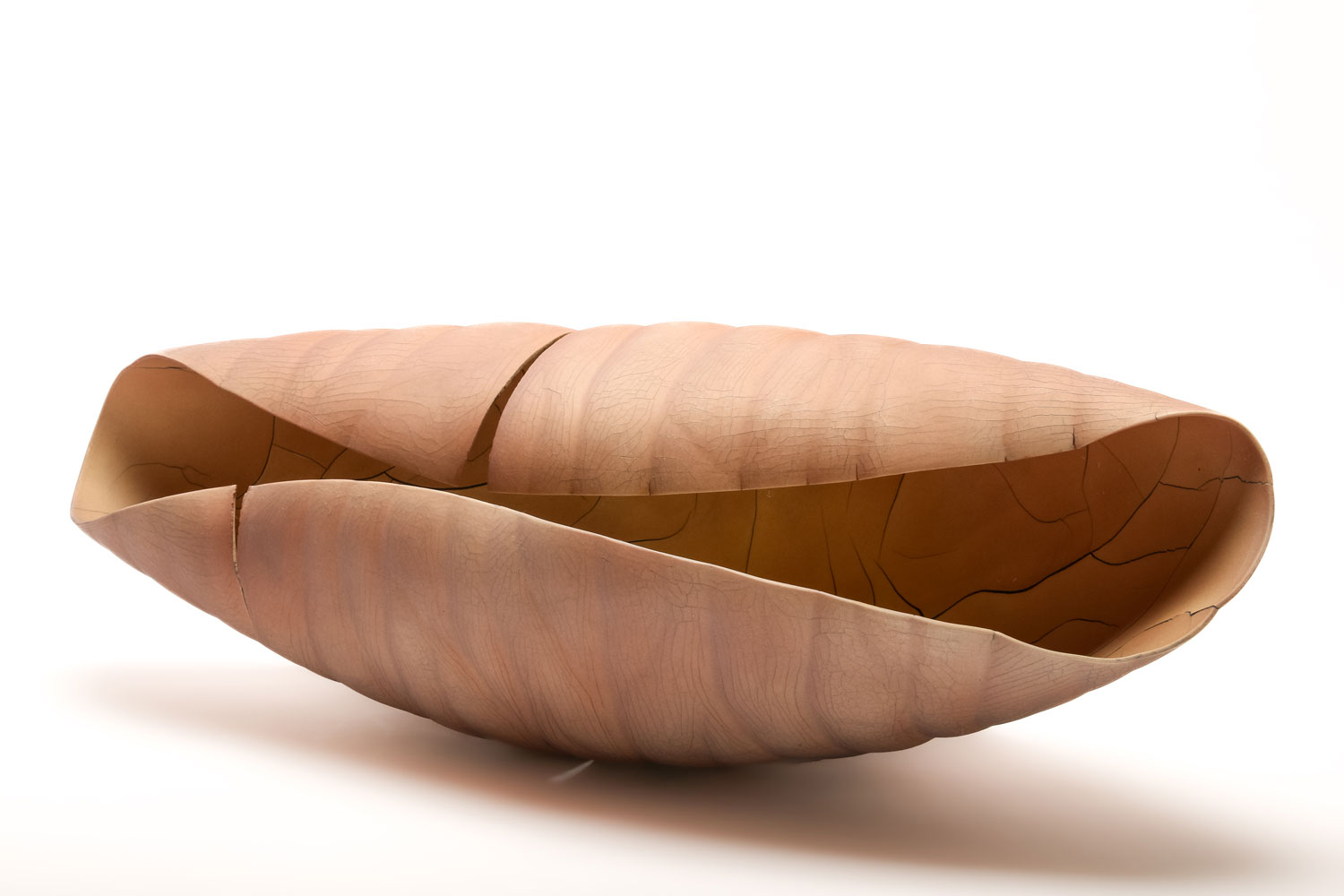 Paula Murray Still Breathing