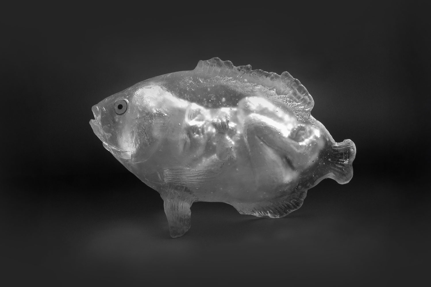 Christina Bothwell Baby mermaid
