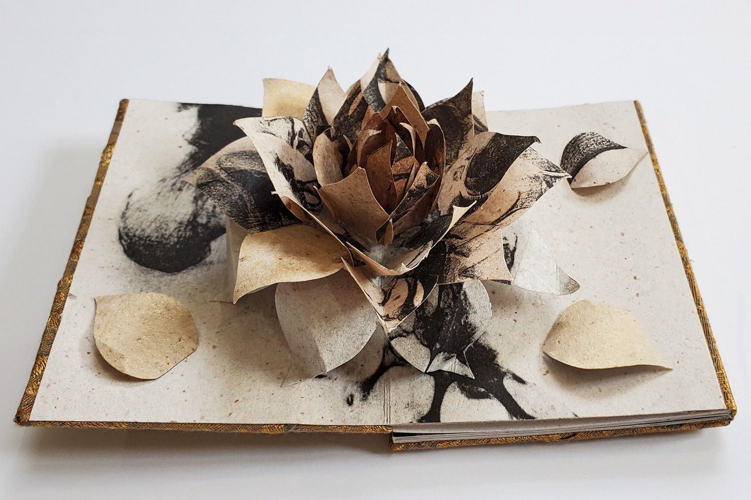 Colette Fu Golden lotus