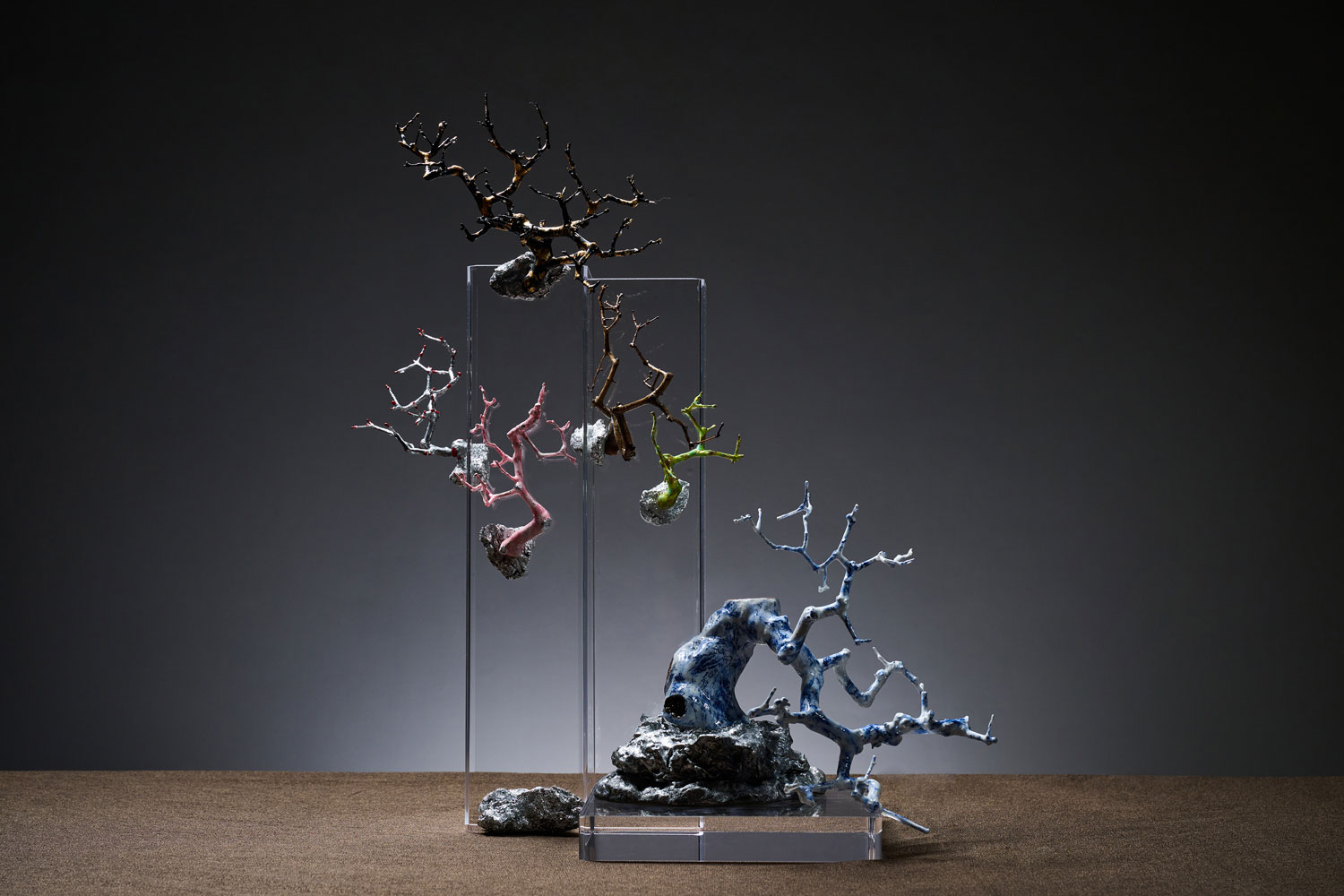Kammy Wong Ancient Roots, Modern Bloom