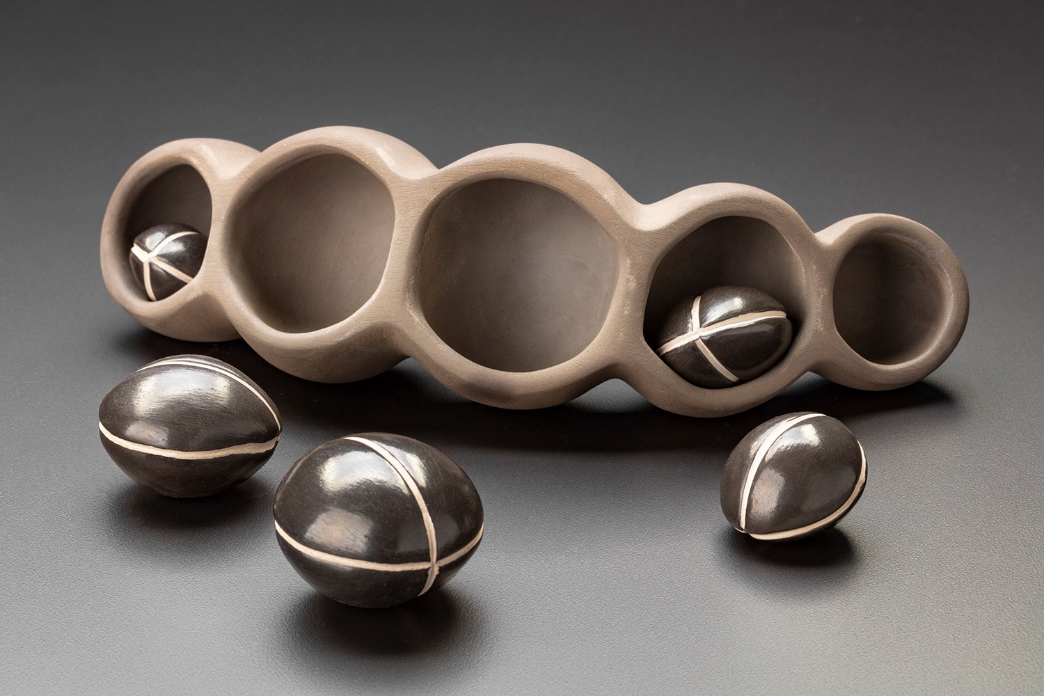 Paula Shalan Multi-chambered pod with seeds