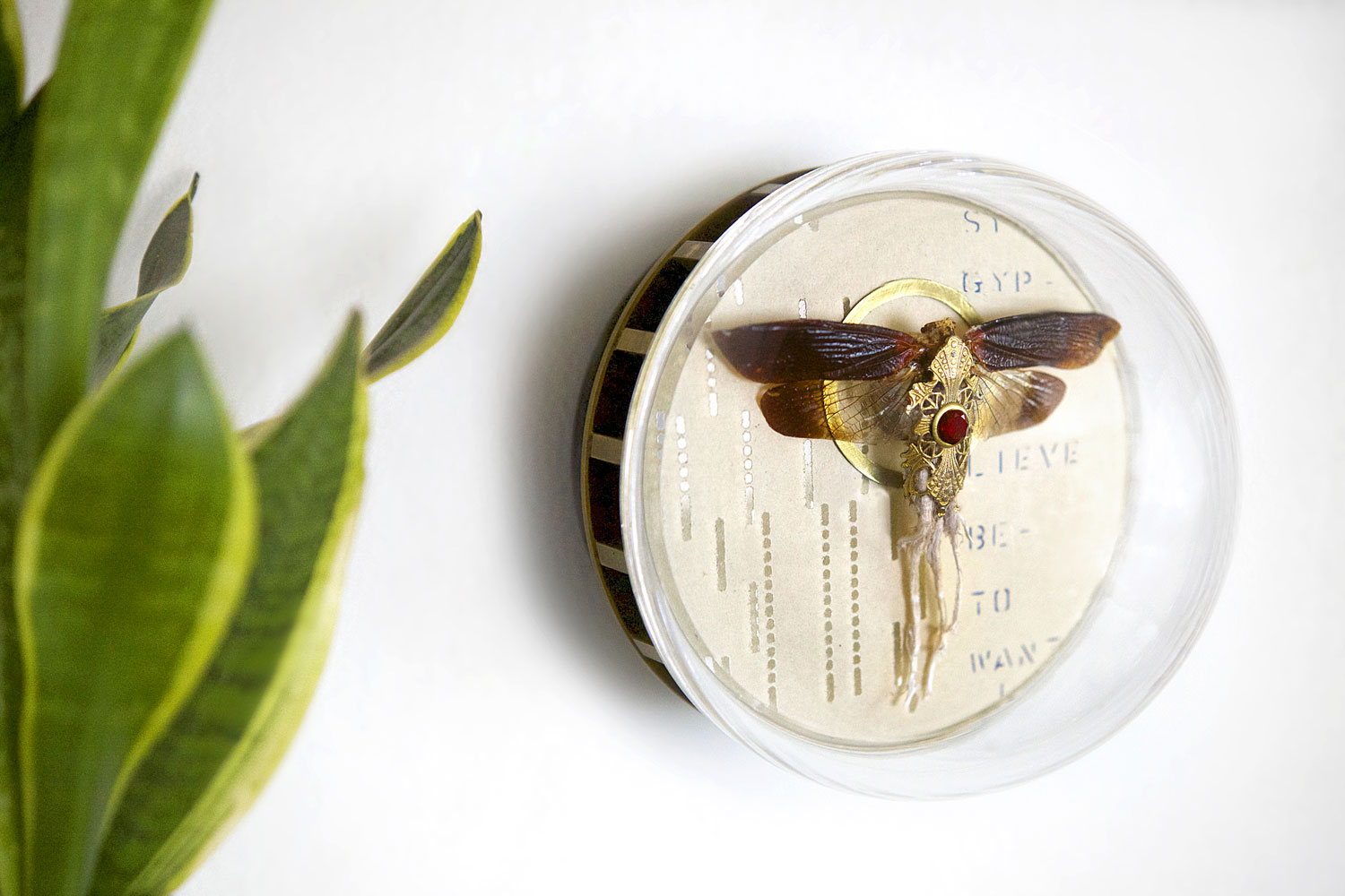 Suzanne Schmid Cerogenes Planthopper and almandine garnet gemstone wall sculpture
