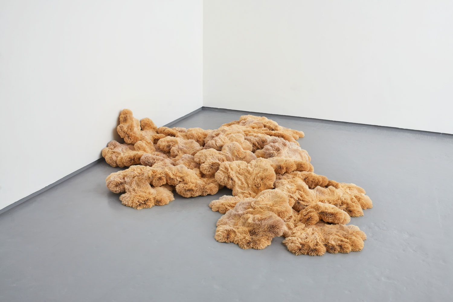 Chris Soal Threshold