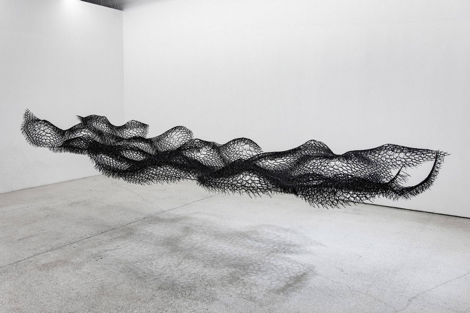 Sui Park Undulating Beauty