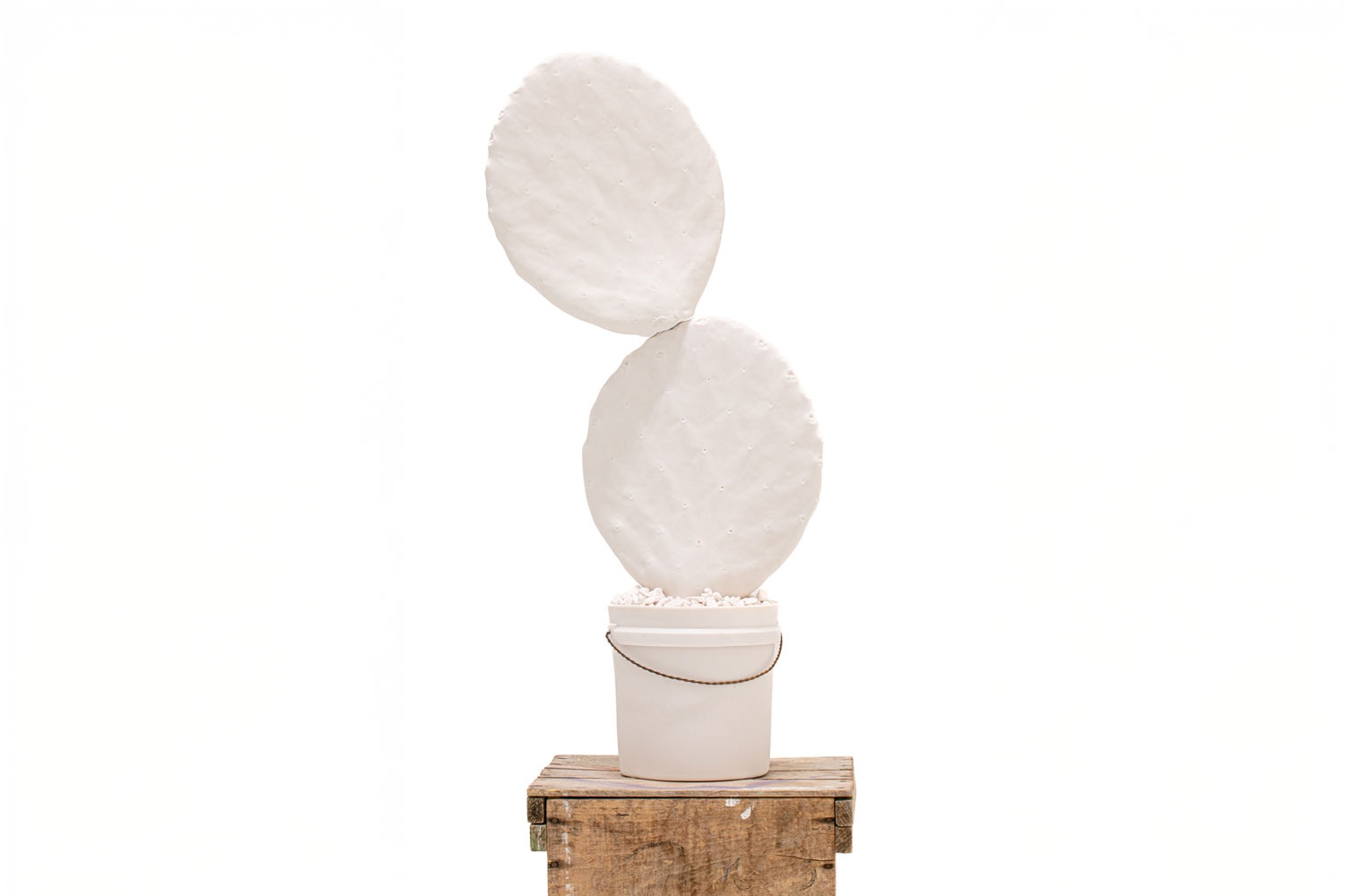 Brock DeBoer Pure porcelain clipping
