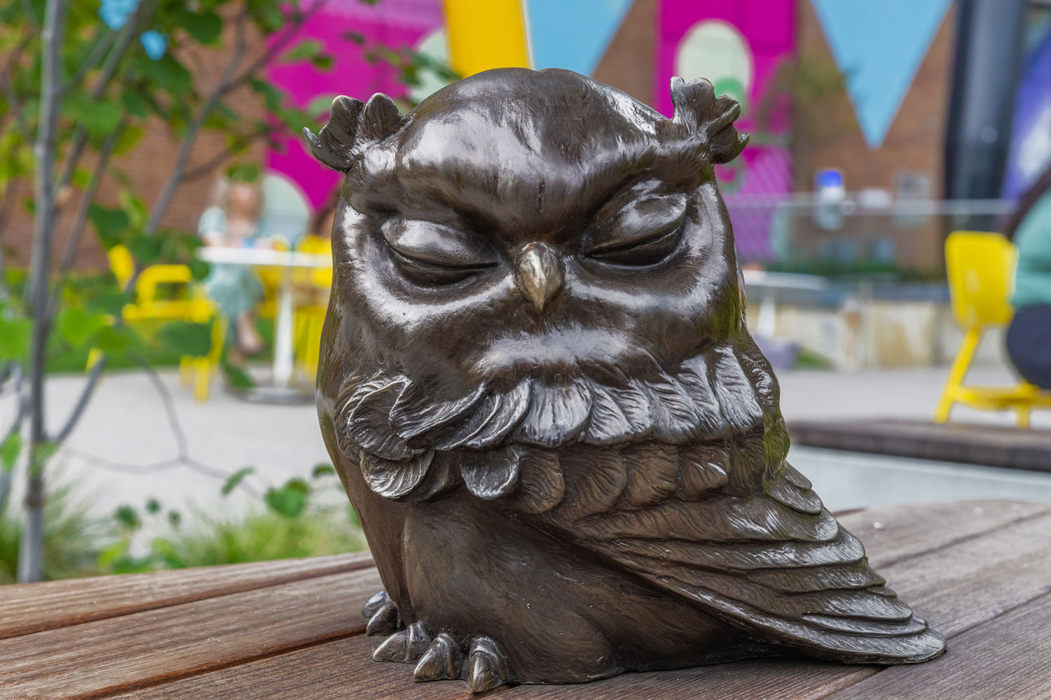 David Constantino Salazar Owl