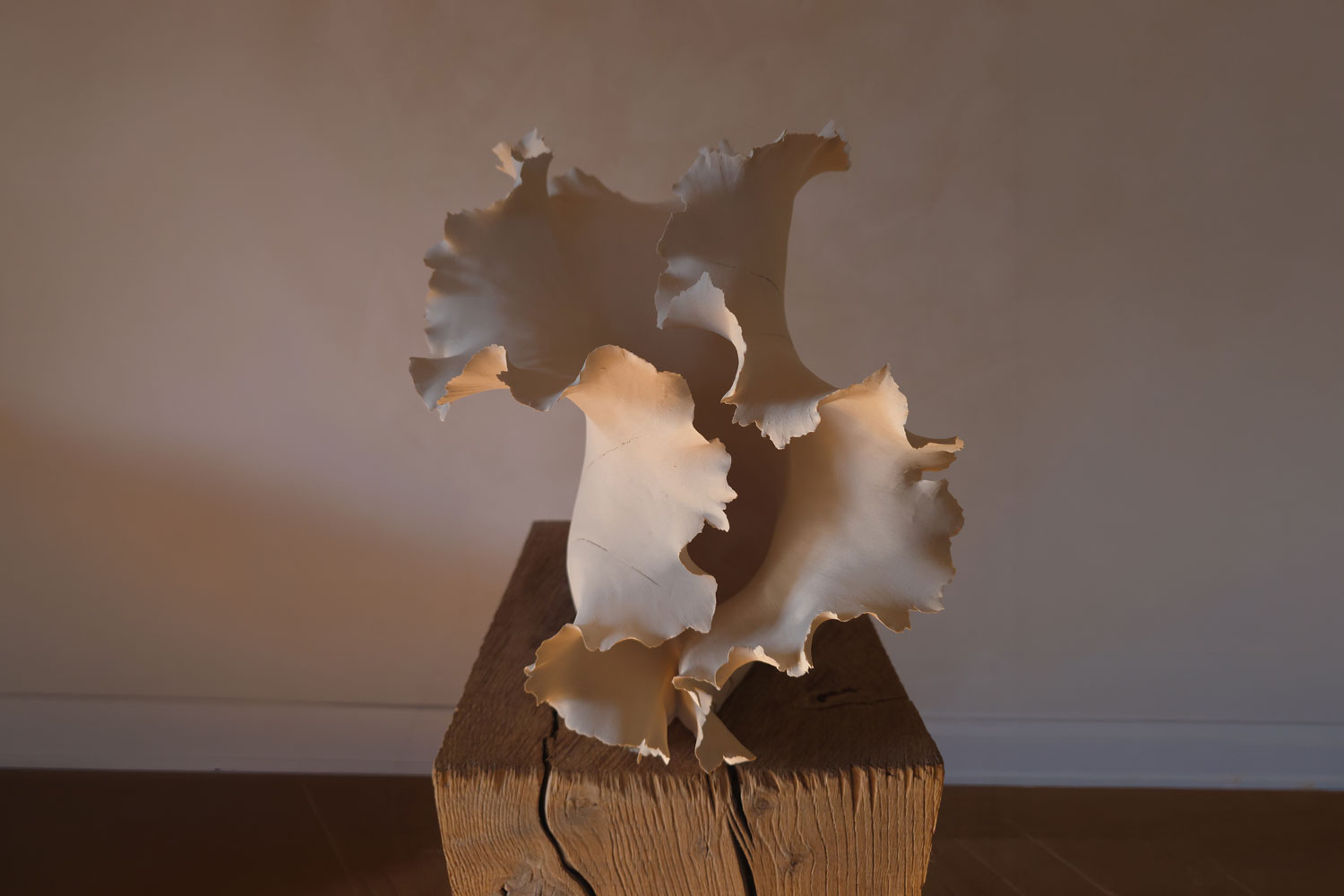 Sandra Munier H A L I M A