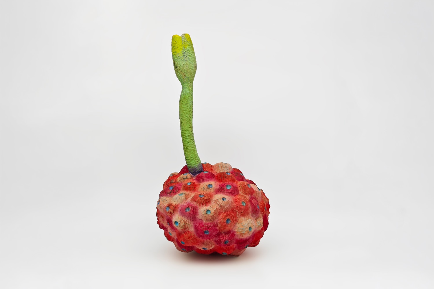 Budding Lychee