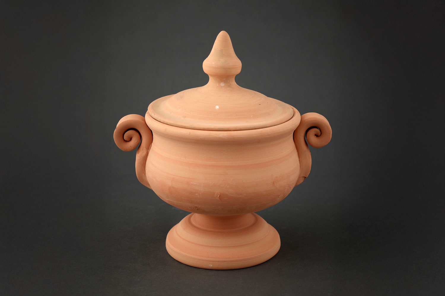 Juan Miguel Alía de Las Heras Tureen with handles