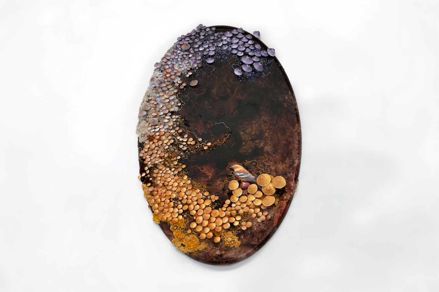 Amy Gross Mycelium Iris