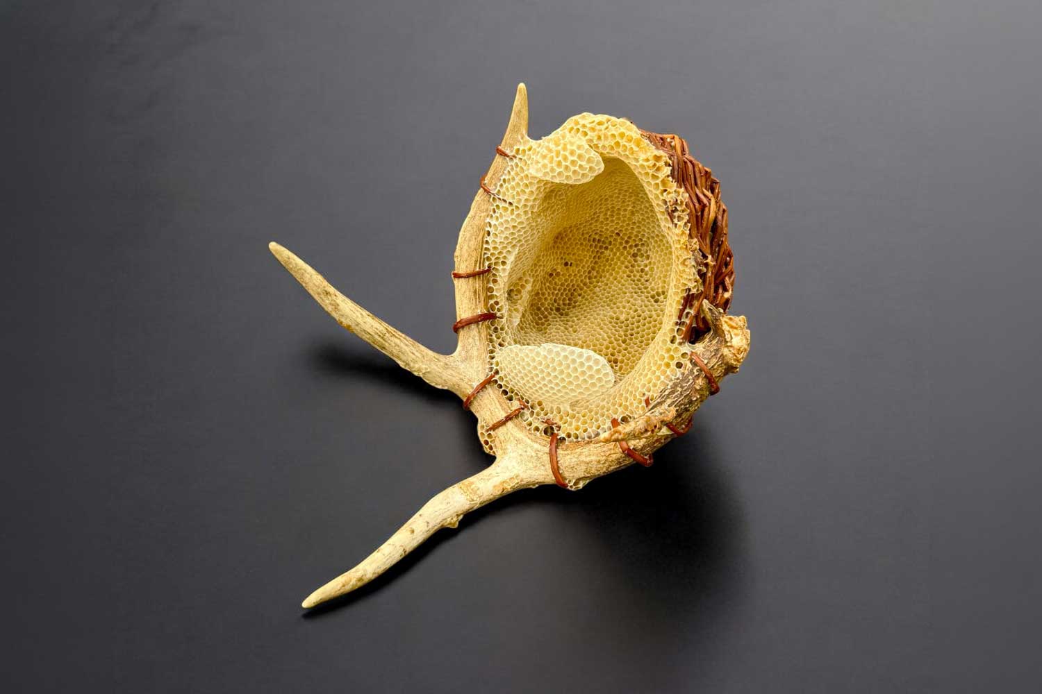 Ava Roth Willow and antler basket with honeycomb