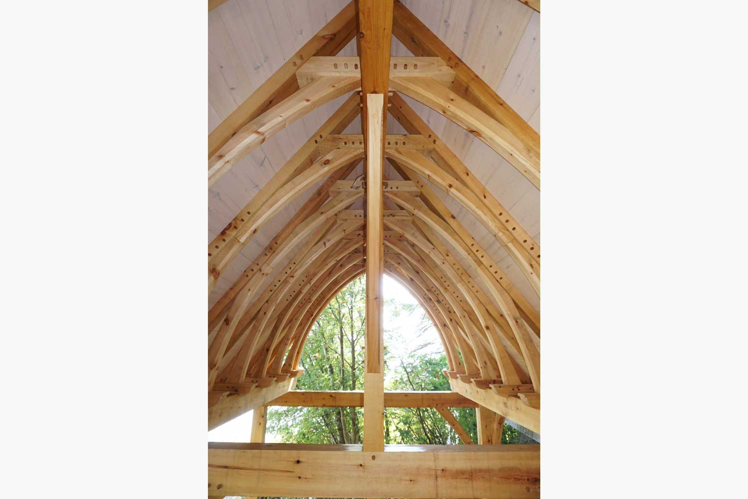 Gerald David Timber framed roof structure