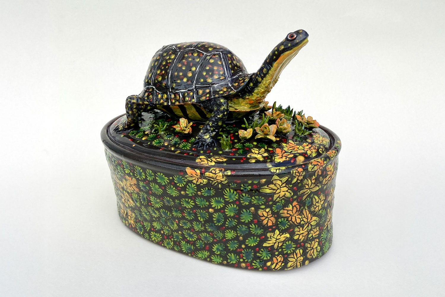 Debra Kuzyk Blanding’s Turtle casserole