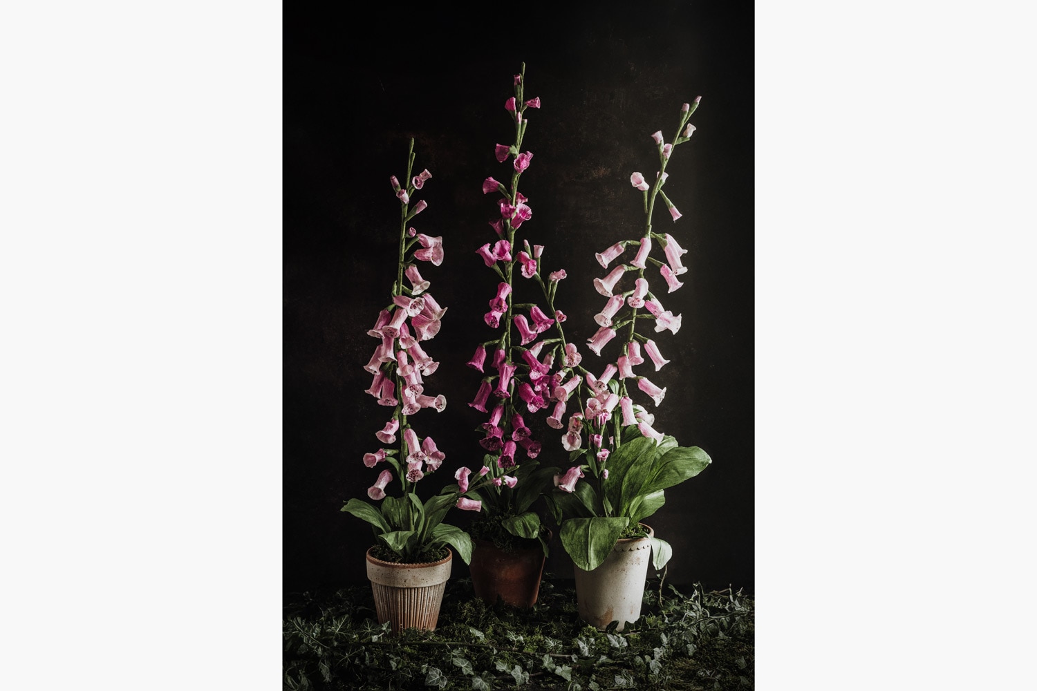Charlotte Hepworth Foxgloves