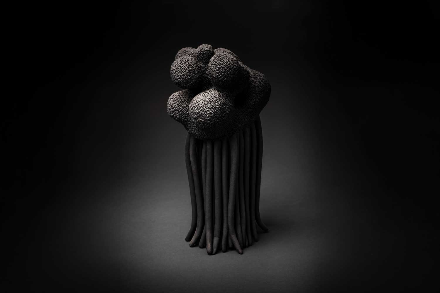 Carl Richard Söderström Sea wasp