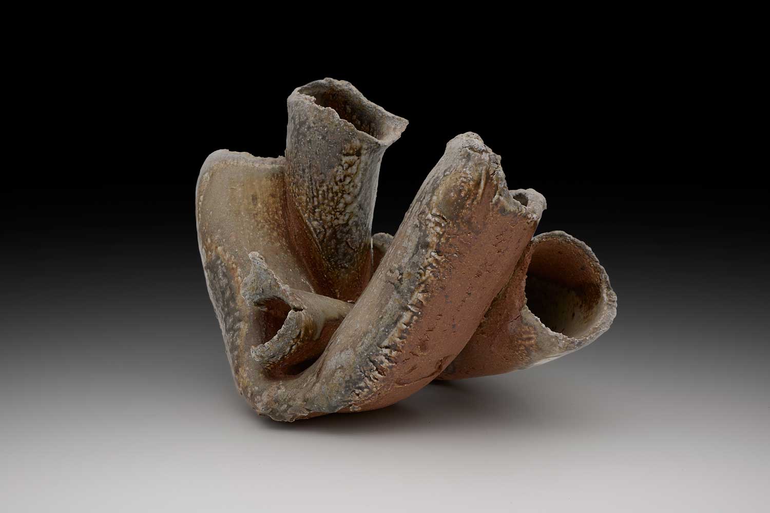 Jeff Shapiro Sea Creature 1