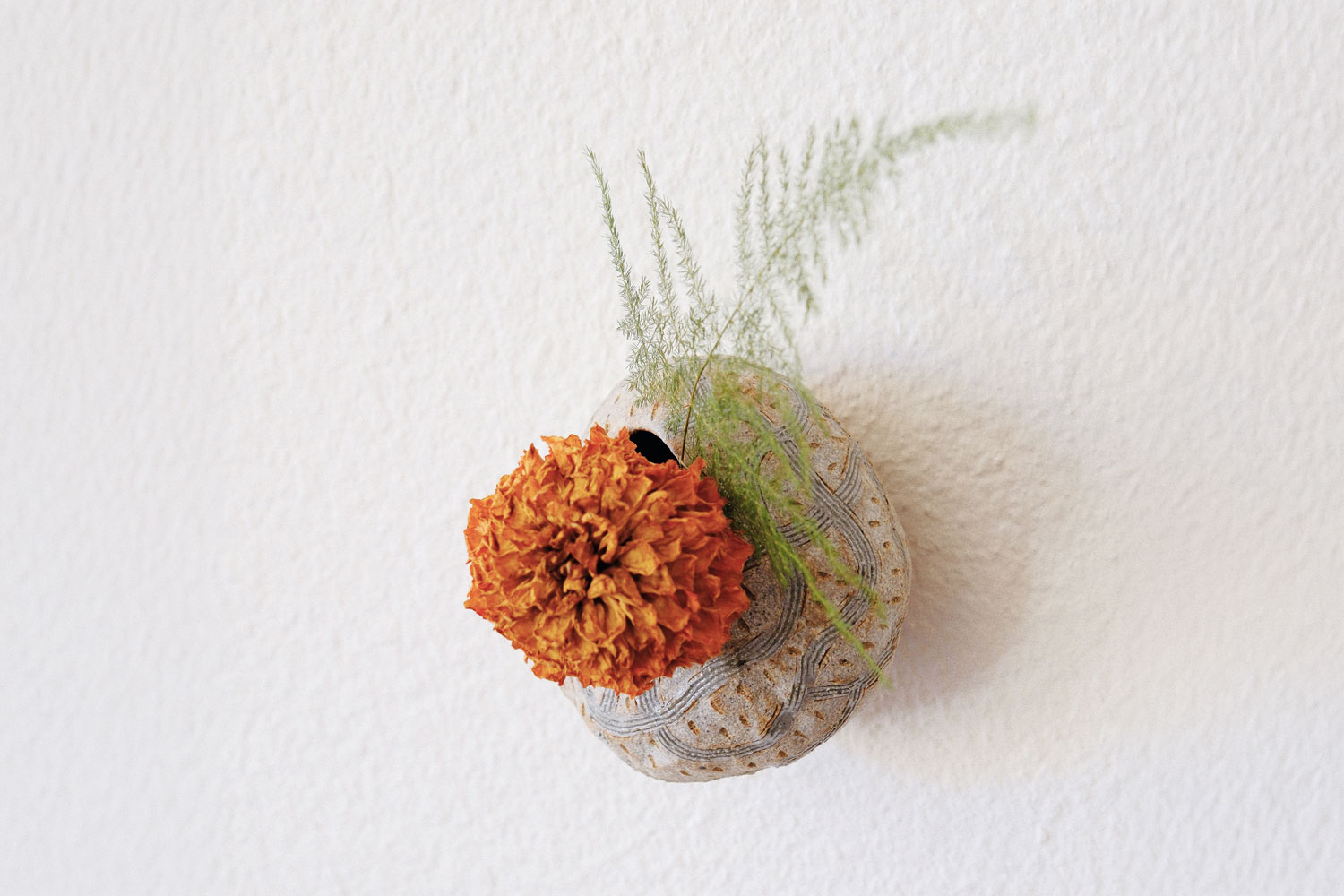 Jonathan Yamakami Nest