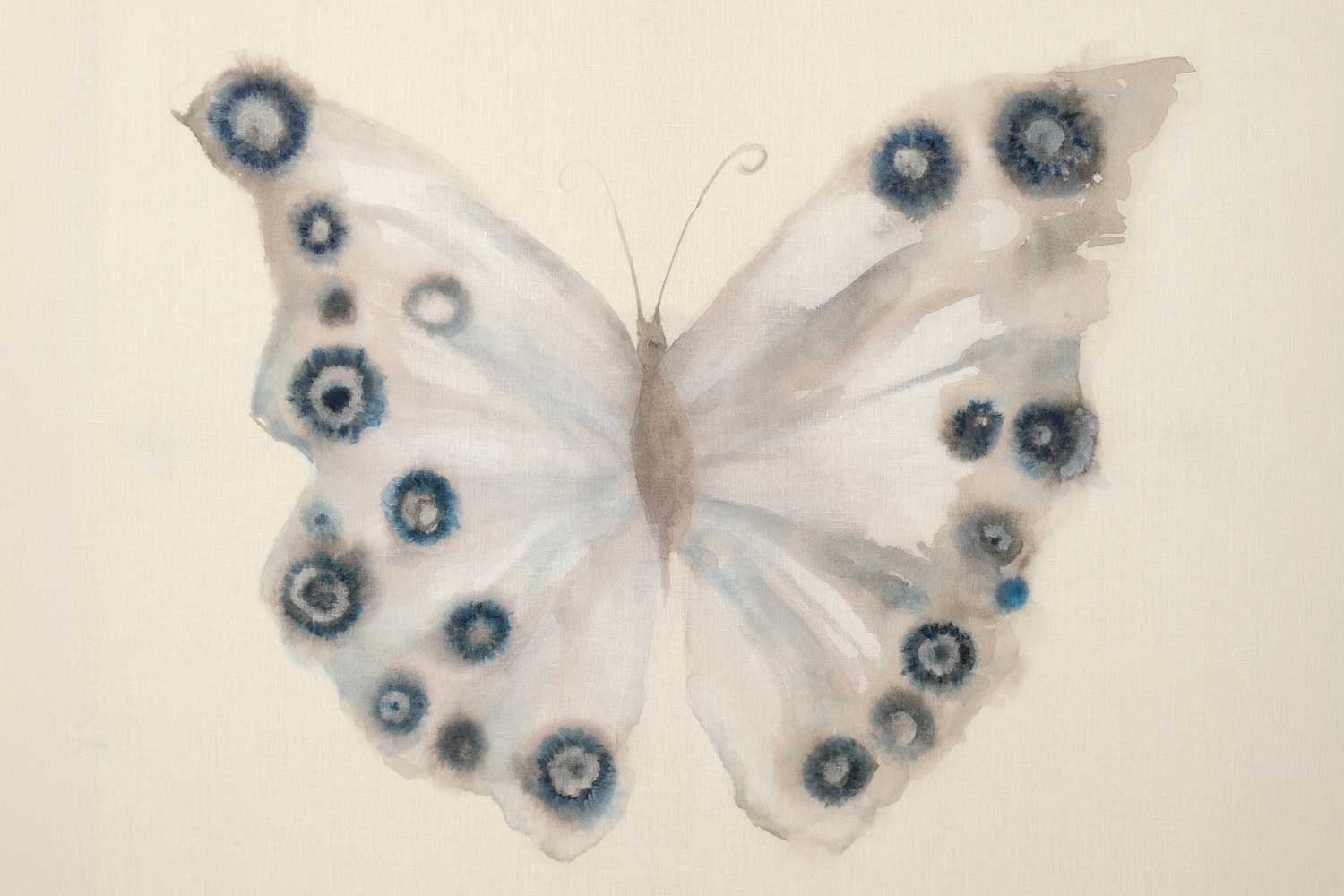 Belén Huidobro & Juan Aresti Papilio Ulysses