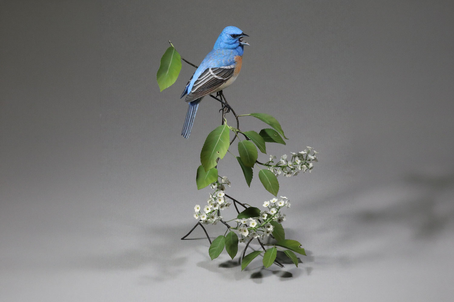 Gerald Painter Lazuli Bunting