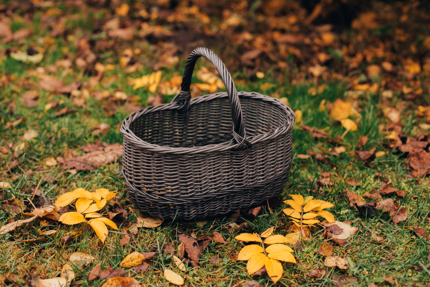 Peteris Tutans Classic mushroom basket